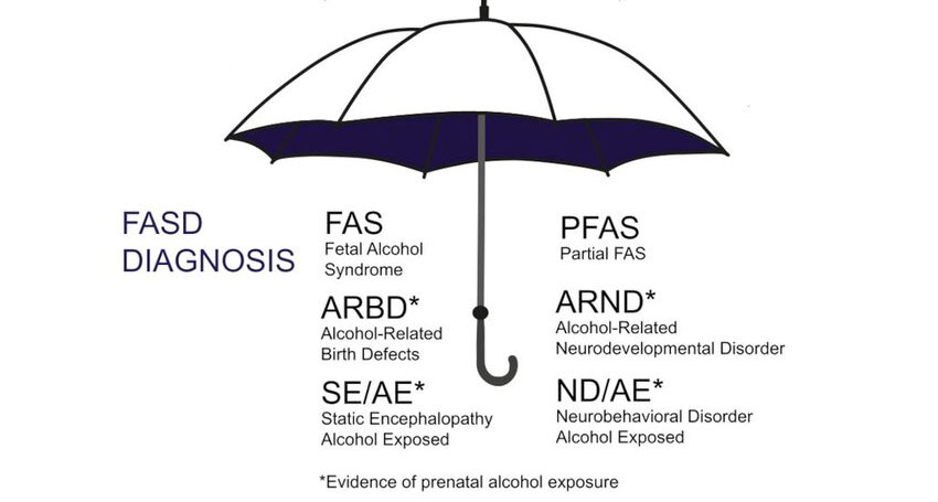 Types of Fetal Alcohol Spectrum Disorders