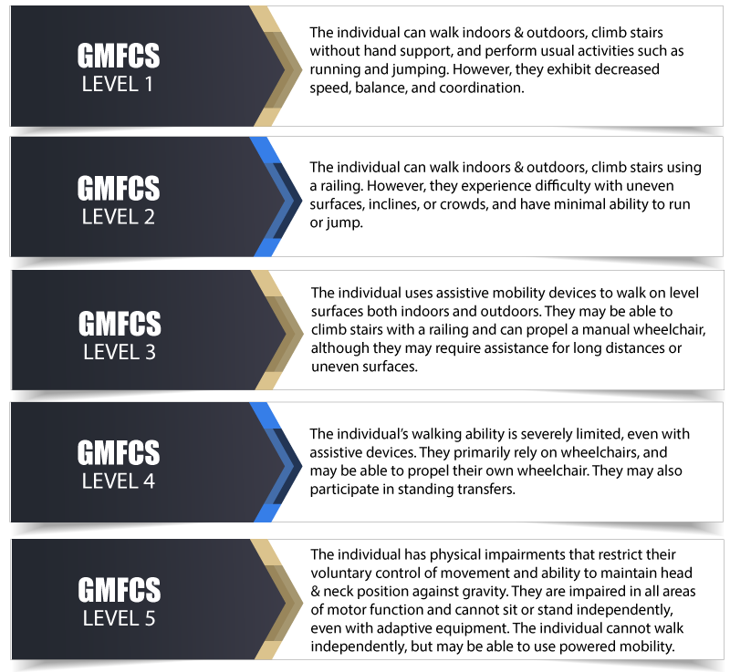 Gross Motor Function Classification