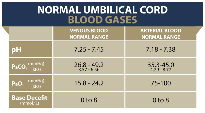 pH Blood Gases