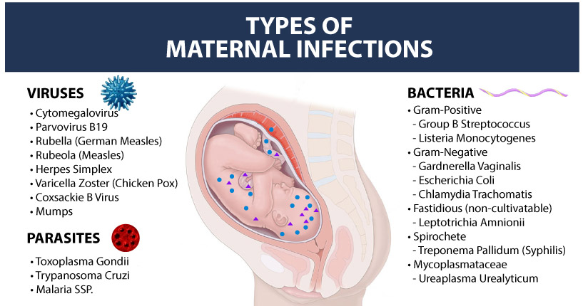 types of maternal infections