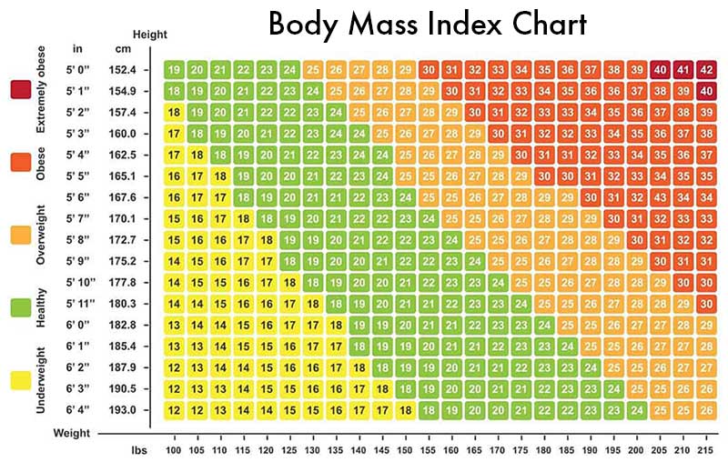 body mass index