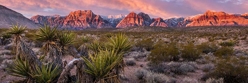 Nevada Birth Injury Lawyers